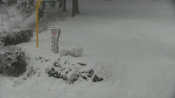 Běžecký lyžařský areál Nová Ves - horní část