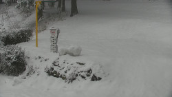 Běžecký lyžařský areál Nová Ves - horní část