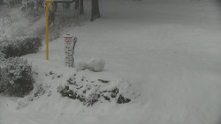 Běžecký lyžařský areál Nová Ves - horní část