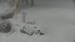 Běžecký lyžařský areál Nová Ves - horní část