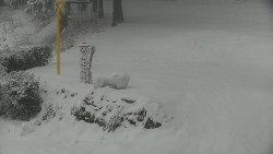 Běžecký lyžařský areál Nová Ves - horní část