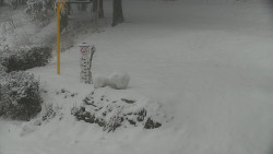 Běžecký lyžařský areál Nová Ves - horní část