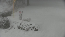 Běžecký lyžařský areál Nová Ves - horní část