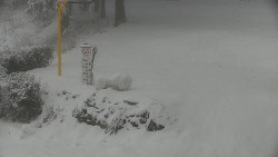 Běžecký lyžařský areál Nová Ves - horní část