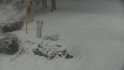 Běžecký lyžařský areál Nová Ves - horní část