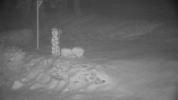 Běžecký lyžařský areál Nová Ves - horní část