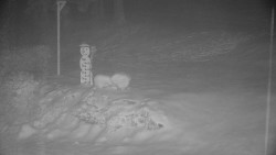 Běžecký lyžařský areál Nová Ves - horní část