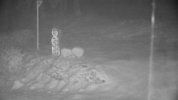 Běžecký lyžařský areál Nová Ves - horní část