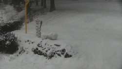 Běžecký lyžařský areál Nová Ves - horní část