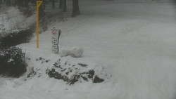 Běžecký lyžařský areál Nová Ves - horní část