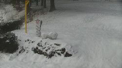 Běžecký lyžařský areál Nová Ves - horní část