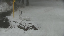 Běžecký lyžařský areál Nová Ves - horní část