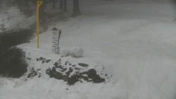 Běžecký lyžařský areál Nová Ves - horní část