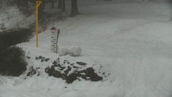 Běžecký lyžařský areál Nová Ves - horní část