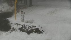 Běžecký lyžařský areál Nová Ves - horní část