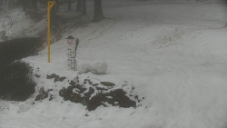 Běžecký lyžařský areál Nová Ves - horní část