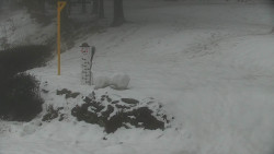 Běžecký lyžařský areál Nová Ves - horní část