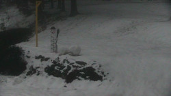 Běžecký lyžařský areál Nová Ves - horní část