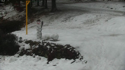 Běžecký lyžařský areál Nová Ves - horní část