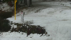 Běžecký lyžařský areál Nová Ves - horní část