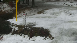 Běžecký lyžařský areál Nová Ves - horní část