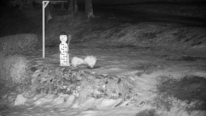 Chata Myslivna SKP Olomouc - Běžecký lyžařský areál Nová Ves - horní část - 14.2.2026 v 00:30