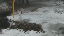 Běžecký lyžařský areál Nová Ves - horní část