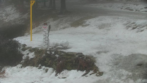 Chata Myslivna SKP Olomouc - Běžecký lyžařský areál Nová Ves - horní část - 14.2.2026 v 08:00