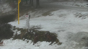 Chata Myslivna SKP Olomouc - Běžecký lyžařský areál Nová Ves - horní část - 14.2.2026 v 10:30