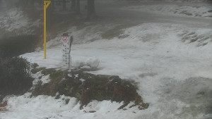 Chata Myslivna SKP Olomouc - Běžecký lyžařský areál Nová Ves - horní část - 14.2.2026 v 11:00