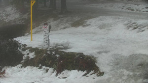 Chata Myslivna SKP Olomouc - Běžecký lyžařský areál Nová Ves - horní část - 14.2.2026 v 12:00