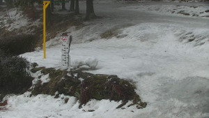 Chata Myslivna SKP Olomouc - Běžecký lyžařský areál Nová Ves - horní část - 14.2.2026 v 13:00