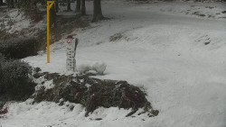 Běžecký lyžařský areál Nová Ves - horní část