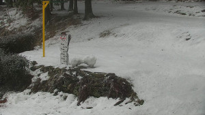 Chata Myslivna SKP Olomouc - Běžecký lyžařský areál Nová Ves - horní část - 14.2.2026 v 14:00