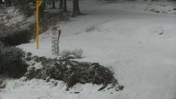 Běžecký lyžařský areál Nová Ves - horní část