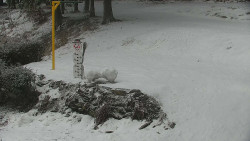 Běžecký lyžařský areál Nová Ves - horní část