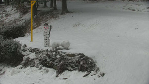Chata Myslivna SKP Olomouc - Běžecký lyžařský areál Nová Ves - horní část - 14.2.2026 v 15:00