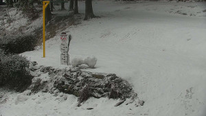 Chata Myslivna SKP Olomouc - Běžecký lyžařský areál Nová Ves - horní část - 14.2.2026 v 15:30