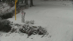 Běžecký lyžařský areál Nová Ves - horní část