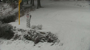 Chata Myslivna SKP Olomouc - Běžecký lyžařský areál Nová Ves - horní část - 14.2.2026 v 16:00