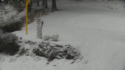 Běžecký lyžařský areál Nová Ves - horní část