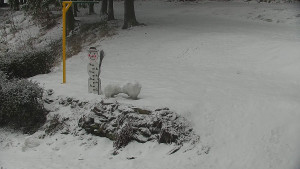 Chata Myslivna SKP Olomouc - Běžecký lyžařský areál Nová Ves - horní část - 14.2.2026 v 16:30