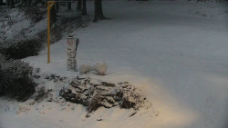 Běžecký lyžařský areál Nová Ves - horní část