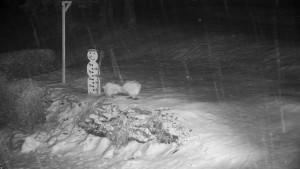 Chata Myslivna SKP Olomouc - Běžecký lyžařský areál Nová Ves - horní část - 14.2.2026 v 18:00