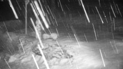 Běžecký lyžařský areál Nová Ves - horní část