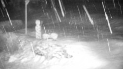 Běžecký lyžařský areál Nová Ves - horní část