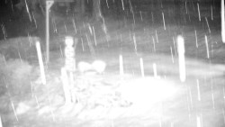 Běžecký lyžařský areál Nová Ves - horní část