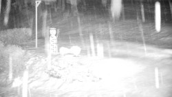 Běžecký lyžařský areál Nová Ves - horní část