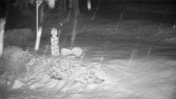 Běžecký lyžařský areál Nová Ves - horní část