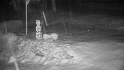 Běžecký lyžařský areál Nová Ves - horní část